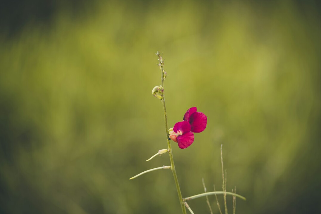 Laptop and coffee on a bright work desk