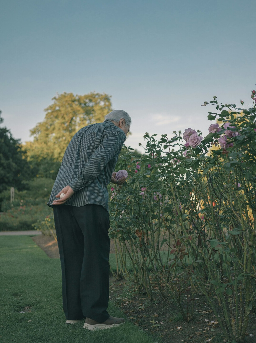 elderly person teaching young child in garden